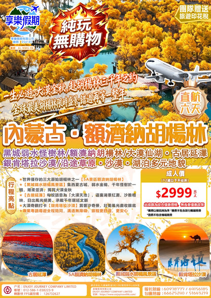 內蒙古·額濟納胡揚林直航六天